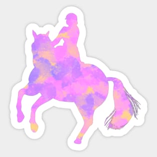 Horse Riding Sticker
